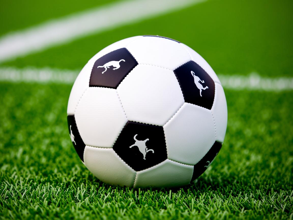 开云体育官网在线-皇马面对尤文图斯，备战聚焦  第3张