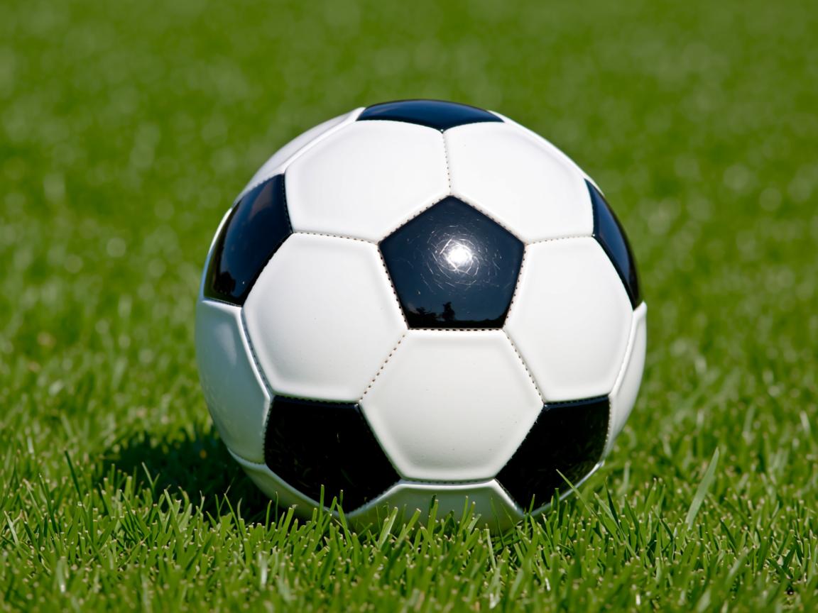 开云体育在线官网-中国女篮出征世界杯 全队斗志昂扬，中国女篮世界大赛  第3张