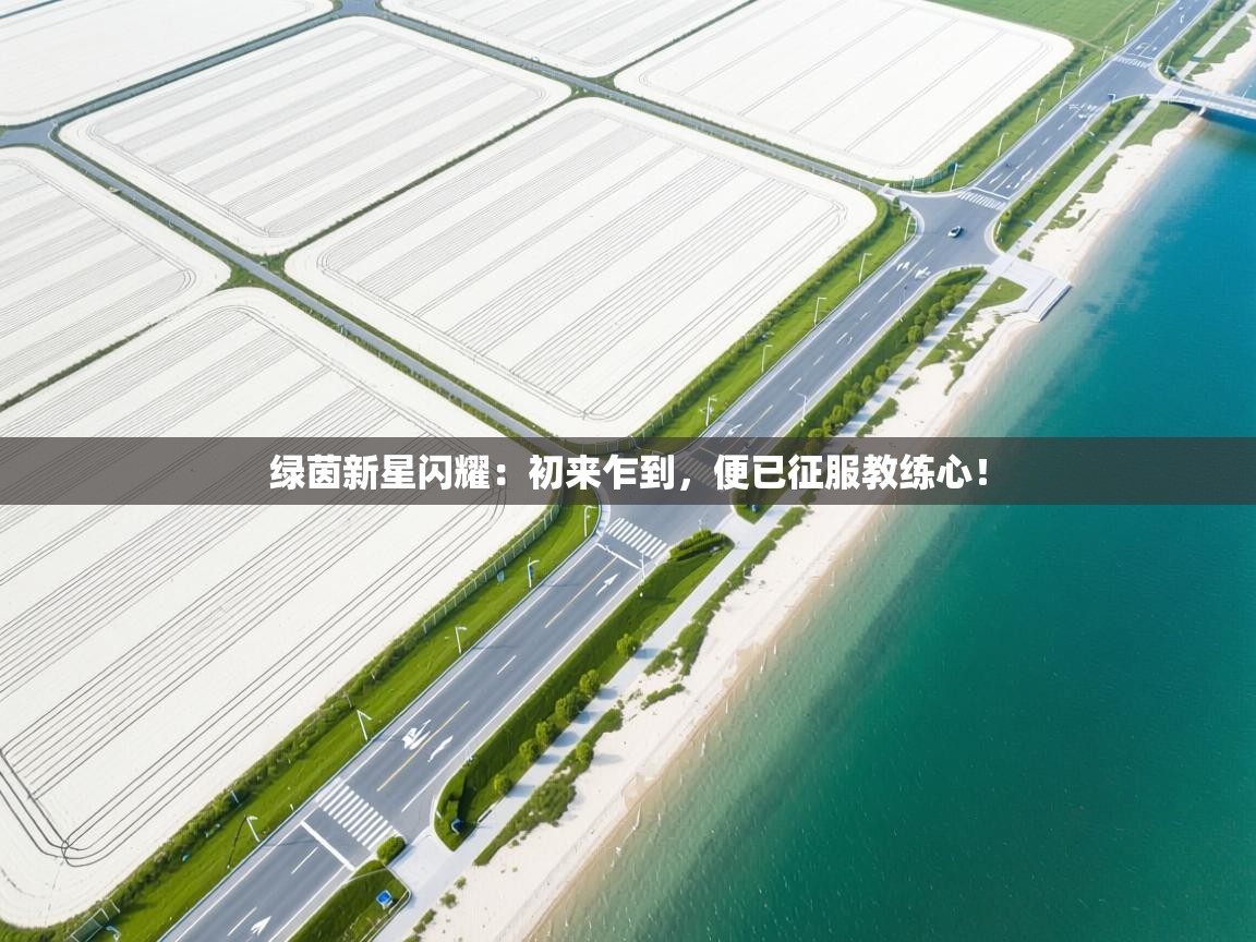 绿茵新星闪耀:初来乍到,便已征服教练心! 第2张