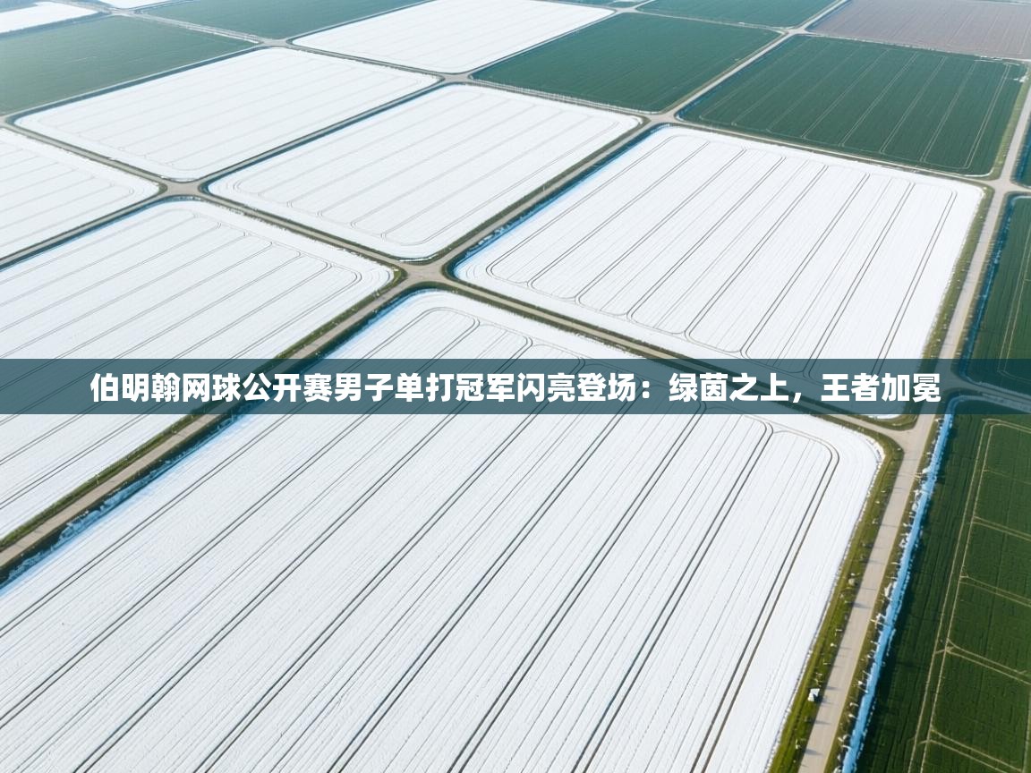 伯明翰网球公开赛男子单打冠军闪亮登场:绿茵之上,王者加冕 第2张