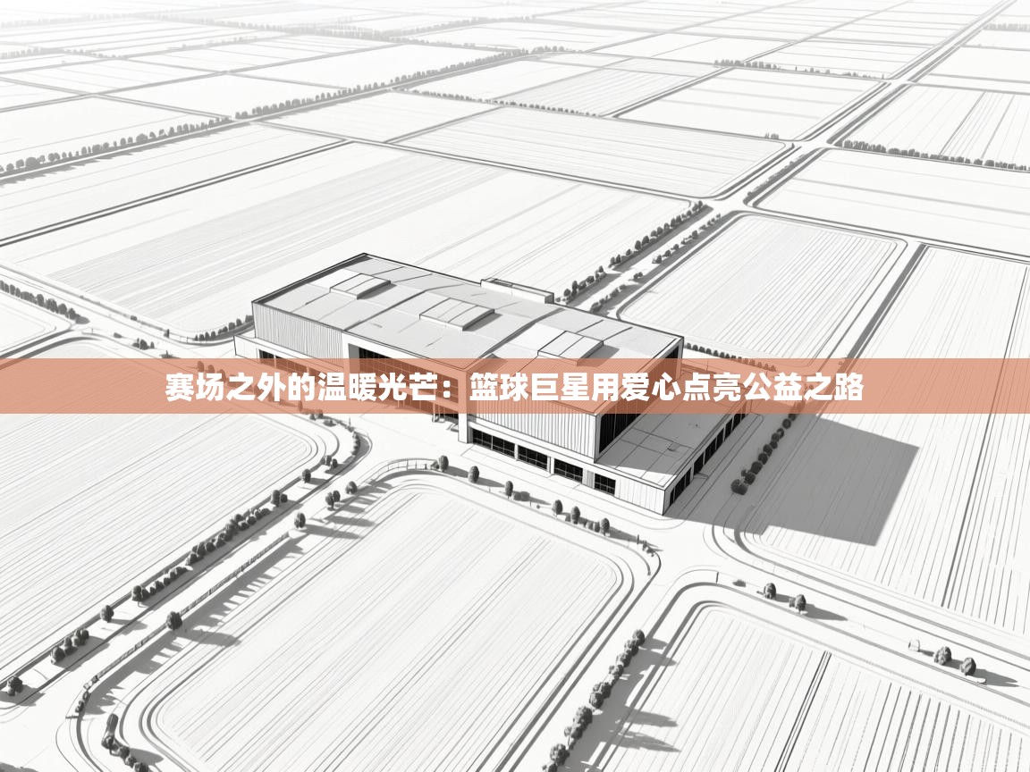 赛场之外的温暖光芒：篮球巨星用爱心点亮公益之路